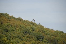 Am Edersee (68)